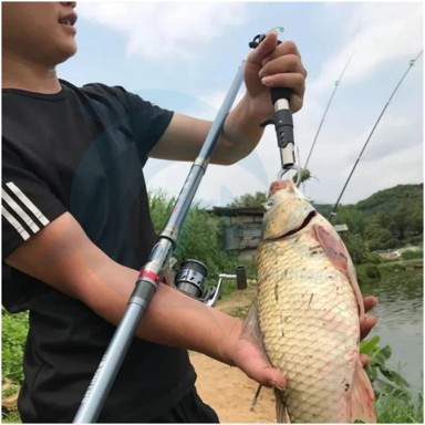 قاف ماهیگیری (ماهی کش)
